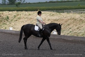 ISIS Dressage Challenge 2008